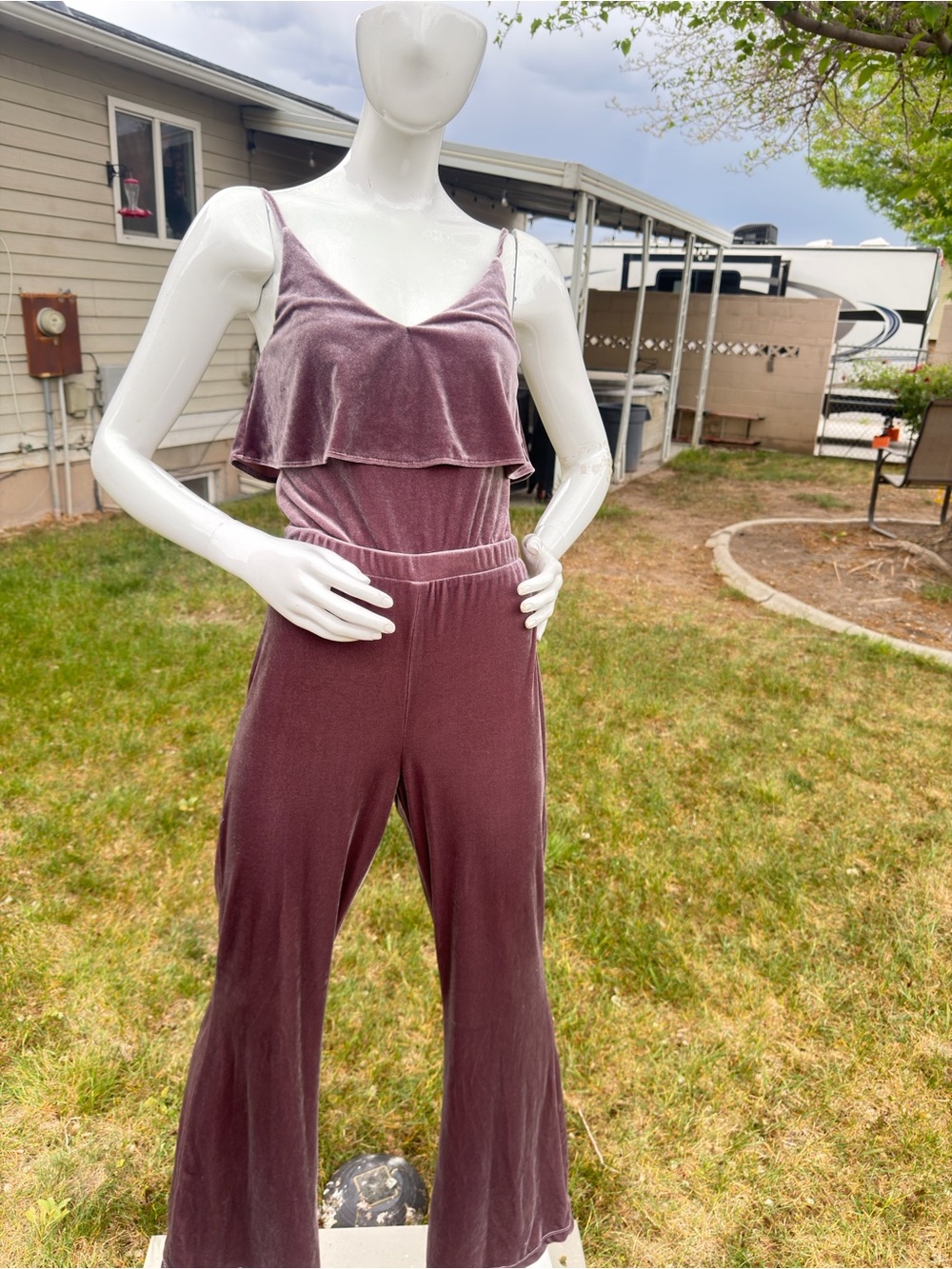 Jack by BB Dakota Mauve Velvet Wide-Leg Jumpsuit